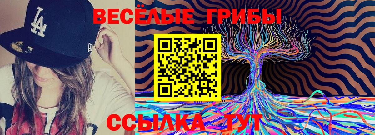 Псилоцибиновые грибы Cubensis  Вход с VPN  Мариинск 